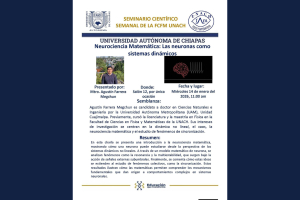Realizan en FCFM Seminario sobre Neurociencia Matemática en enero de 2026