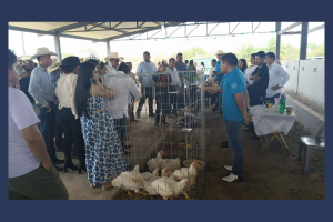UNACH destaca en la XXXVII Expo Ganadera 2025 con productos agroecológicos