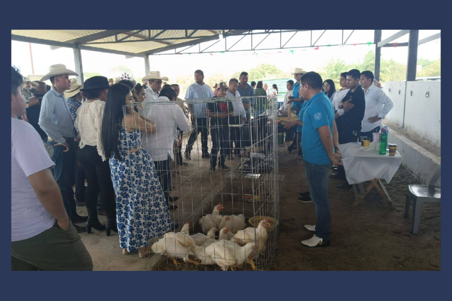 UNACH destaca en la XXXVII Expo Ganadera 2025 con productos agroecológicos