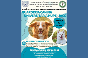 UNACH anuncia apertura de Guardería Canina en Hospital Universitario de Pequeñas Especies