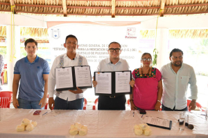 Firman UNACH y Ayuntamiento de Pijijiapan convenio para promover el quesillo con indicación geográfica