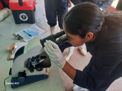 Escuela de Estudios Agropecuarios Mezcalapa: Un centro de formación integral para el desarrollo agropecuario