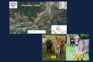 Impulsan en UNACH la formación ambiental y la divulgación científica desde las aulas