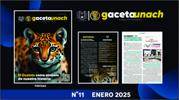 Gaceta Enero 2025