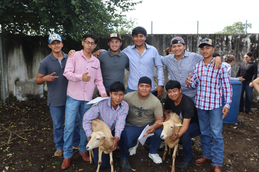 Aprende alumnado a determinar la edad de los ovinos en Facultad Maya