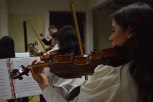 La Conformación de la Orquesta Universitaria de la UNACH