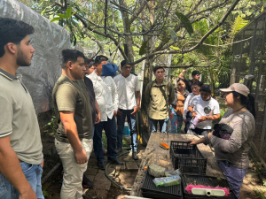Estudiantes de Medicina Veterinaria y Zootecnia de la Facultad Maya visitan la UMA ‘Los Susurros’