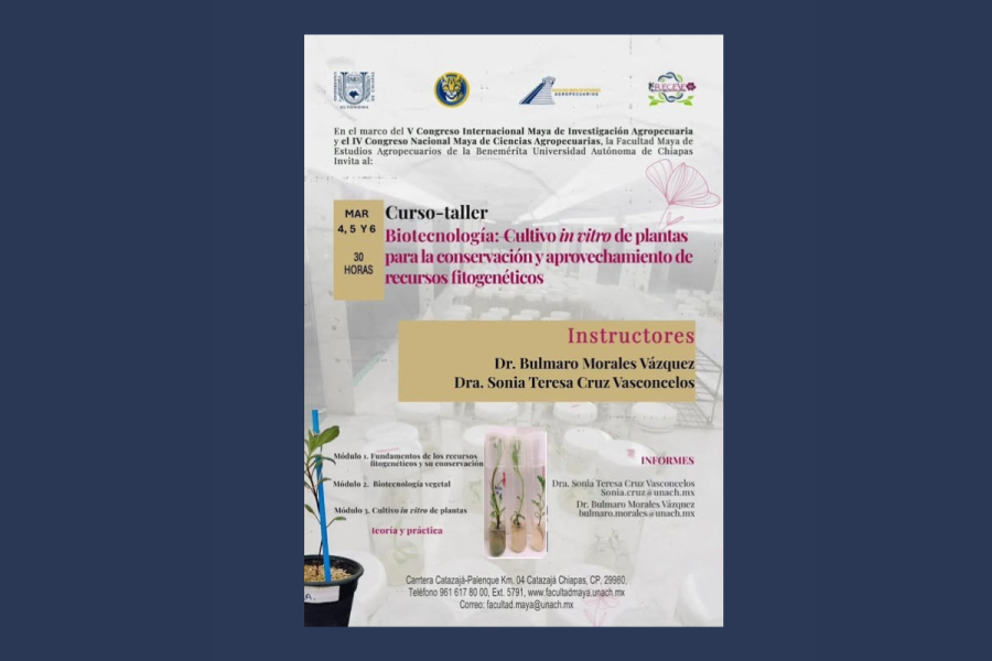 Facultad Maya de Estudios Agropecuarios invita al curso-taller “Biotecnología: Cultivo in vitro de plantas para la conservación y aprovechamiento de recursos filogenéticos”