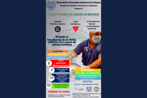 Impulsa FMVZ C-II la formación práctica con el Curso Integral de Cirugía en Bovinos