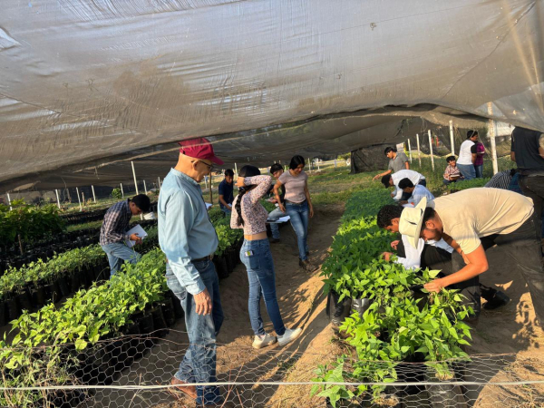 Fortalecen formación profesional con prácticas en el Campo Experimental de la Facultad de Ciencias Agrícolas Campus IV