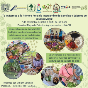 Realizarán Primera Feria de Intercambio de Semillas y Saberes de la Selva Maya en Catazajá