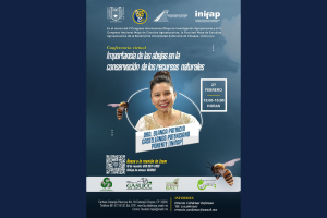 La Facultad Maya de Estudios Agropecuarios invita a conferencia “Importancia de las abejas en la conservación de los recursos naturales”