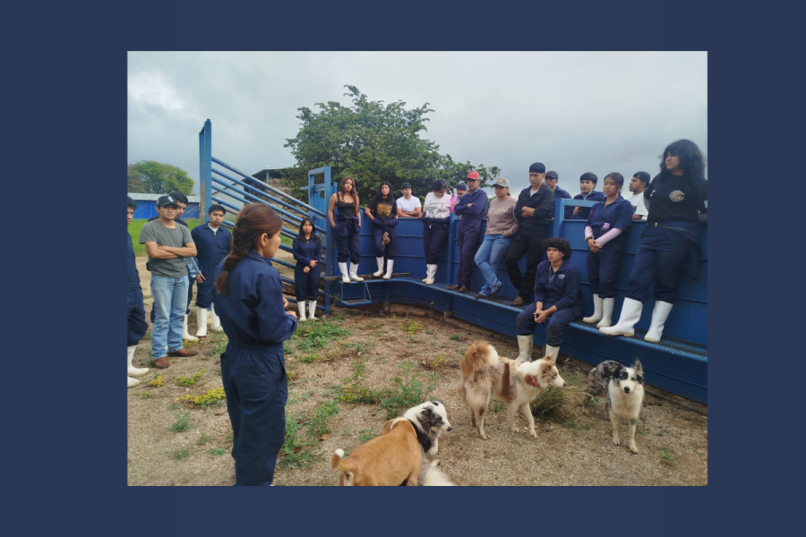 Fortalecen competencias profesionales de estudiantes en Soconusco y Ocozocoautla