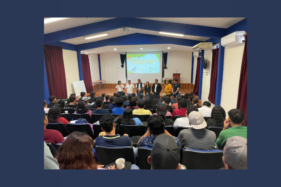 Impulsa  Facultad Maya de Estudios Agropecuarios la formación práctica en avicultura de traspatio 