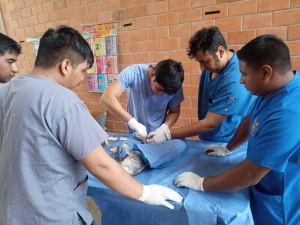 Estudiantes de FMEA-UNACH destacan en campaña de esterilización canina y felina en Palenque