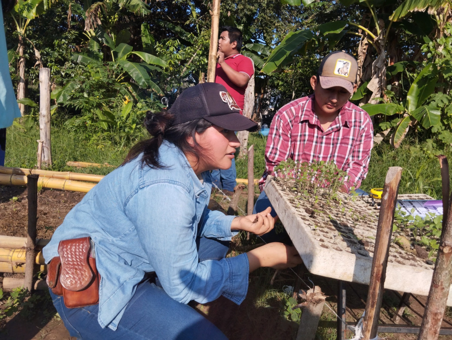 Establecen sistema orgánico en módulo agroecológico de la FMEA-UNACH