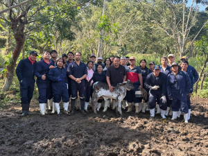 Fortalecen la formación práctica de estudiantes de Medicina Veterinaria en el Campus XI Mezcalapa