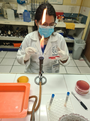 El sesgo hereditario en los genes indígenas y su impacto en la salud en Chiapas