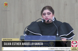 Intervención de la diputada Silvia Esther Arguello García.