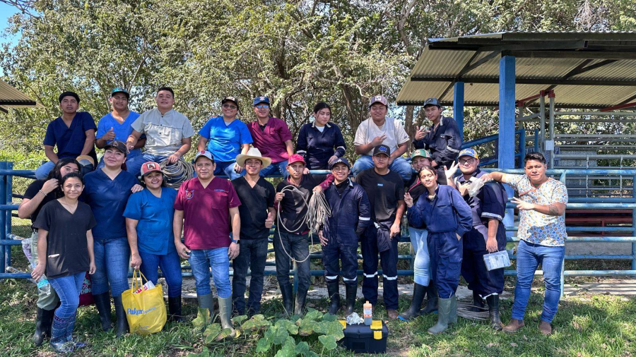 Estudiantes de la Facultad Maya desarrollan habilidades clave en la toma de muestras para diagnóstico de enfermedades bovinas