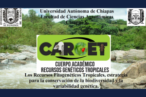 Invita UNACH al Tercer Seminario sobre recursos fitogenéticos tropicales