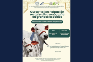 Curso-taller “Palpación rectal y ultrasonografía en grandes especies” en la Facultad Maya de Estudios Agropecuarios