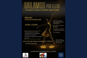 Realizarán gala de danza a beneficio de esterilización de animales en situación de calle en Comitán