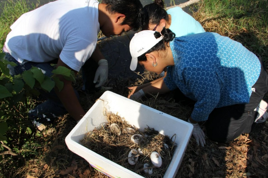 Descubre tu vocación en la Facultad de Veterinaria y Zootecnia de la UNACH