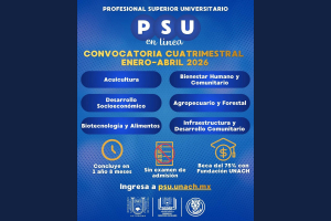 Abren convocatoria para Profesional Superior Universitario en modalidad en línea