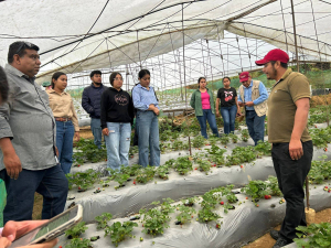 Estudiantes de Ingeniería Agrónoma de la UNACH realizan prácticas agroecológicas